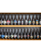 Online sales of beers from the Ládví Cobolis craft brewery Prague